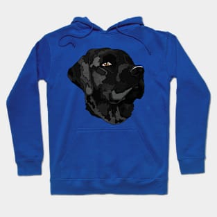 A Black Lab Hoodie